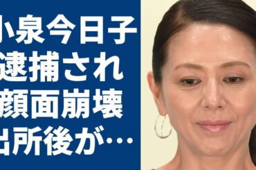 小泉今日子が逮捕された真相...再婚しない理由と言われる抱える難病がヤバすぎた...『木枯しに抱かれて』がヒットしたアイドルの顔面崩壊した現在に驚きを隠せない...