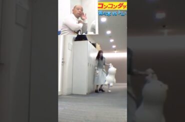 荒ぶるみちおvs佐々木久美〔2〕#日向坂