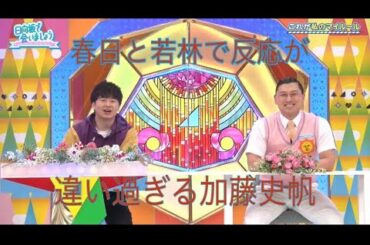 【日向坂46】若林と春日で反応が違い過ぎる加藤史帆【日向坂で会いましょう】