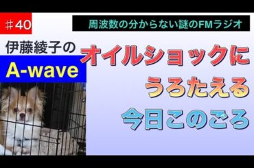 伊藤綾子の「A wave」40 オイルショックにうろたえる今日このごろ