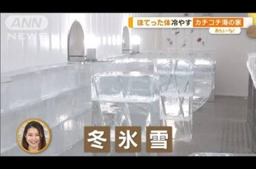 この夏行きたい注目の海の家！親子で楽しめる南国グルメにアイスバー?!【あらいーな】(2023年7月17日)