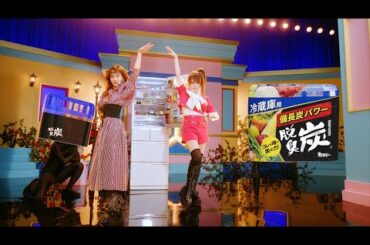 脱臭炭「愛たんれいなたん脱臭炭」篇30秒