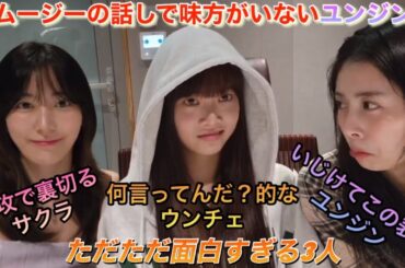 【LE SSERAFIM】ルセラフィムの宮脇咲良・ユンジン・ウンチェの3人「YESズ」がライブ配信で面白すぎた件【Weverse Live】