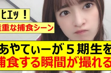 【乃木坂46】吉田綾乃クリスティーが５期生を捕食する瞬間が撮れる!!【ネットの反応】【反応集】