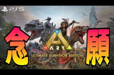 #37【ラストスパート】ピグレット、プーさん、テイム【ARK】 夜型女の生放送♡