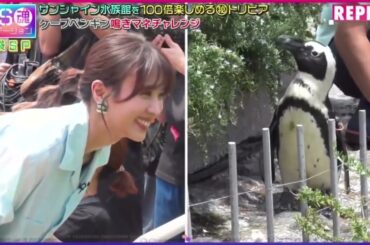 【欅坂46】モノボケ＆鳴きマネに挑戦した櫻坂46小林由依、照れる www VS魂 2023年7月27日HD