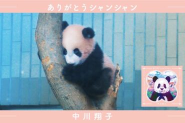 中川翔子 『ありがとうシャンシャン』music video short ver.