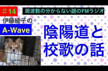 伊藤綾子の「A-wave」14 陰陽道と校歌の話