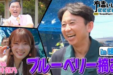 櫻坂46田村保乃＆オードリー春日と練馬区でブルーベリー摘みを体験！www 有吉ぃぃeeeee！ 2023年7月30日