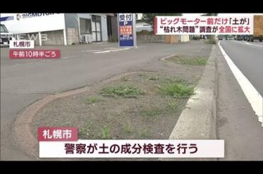 ビッグモーター前だけ「土が」“枯れ木問題”調査が全国に拡大(2023年7月27日)