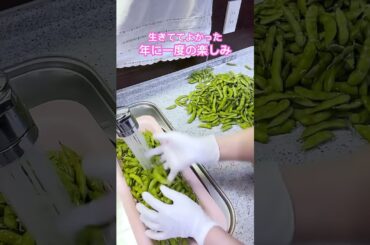 おはよう🌞　生きててよかった　年に一度のお楽しみ　たんたんえだまめ  #shorts