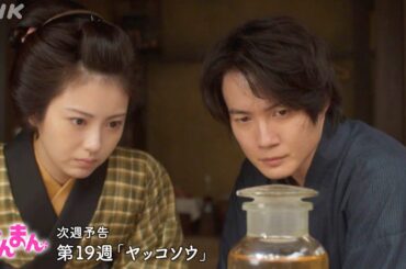 [らんまん] 第19週「ヤッコソウ」次週予告【万太郎(神木隆之介)はロシア行きを断念。高知で発見した植物を新種と認定「ヤッコソウ」と和名をつける】| 朝ドラ | NHK