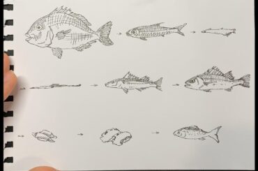 【コント】セトウツミの絵しりとりを再現してみた