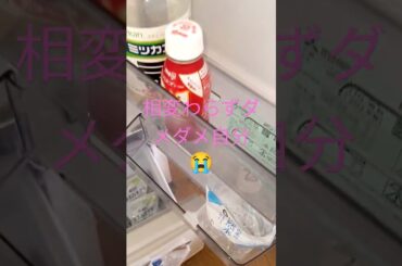 冷蔵庫 少女人形 伊藤つかさ refrigerator 2023年2月7日