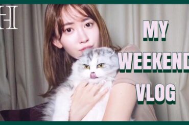 WEEKEND【VLOG】大人のフェスと乃木坂46のLIVEに行きました🖤