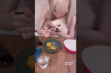 櫻坂46 小池美波 ポムくん 食べ方野生 ほっとひといき 佐々木美玲