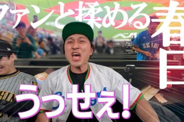 春日に「俺のこと嫌い？」と聞いてみた結果…【野球観戦で仲良くなろう②】 #埼玉西武ライオンズ #ベルーナドーム #阪神タイガース #交流戦