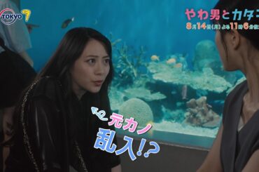 ドラマプレミア23『やわ男とカタ子』第2話 | テレビ東京