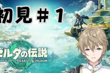 初見プレイでティアキン攻略していこう！【ゼルダの伝説ティアーズ オブ ザ キングダム】【新人Vtuber】