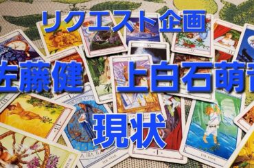リクエスト企画　佐藤健と上白石萌音現状をタロットでみた