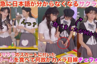 【LE SSERAFIM】ルセラフィムの宮脇咲良とチェウォンから癒やしと笑いを