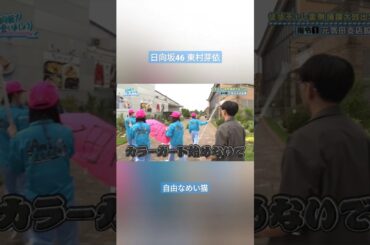 日向坂46 東村芽依 自由なめい猫とみまもる仲間たち  @mei.higashimura