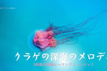 クラゲの深海のメロディ：静かな海を泳ぐ、癒しの音楽の響き🍀 3時間の熟睡ヒーリングミュージック | 深海の音声 | 深い眠りのためのリラックスするピアノ音楽 | 睡眠の質を向上させる | 睡眠音楽