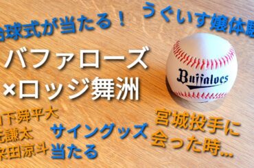 バファローズとコラボ！始球式うぐいす嬢体験が当たる！