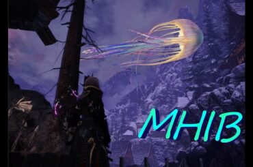 【MHIB】ゆきぽよ日記#4 装飾品集め【参加型】【アイスボーン】