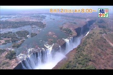 お取り寄せグルメ特集！ロコレコは大友花恋！「旅サラダ」8月12日（土）放送