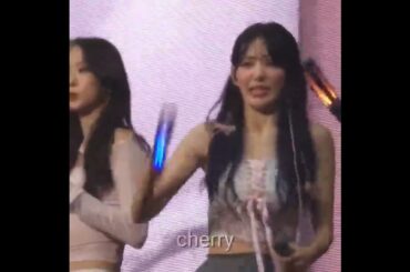 🌸🌸宮脇咲良 ライトスティックが機能しない かわいい 사쿠라