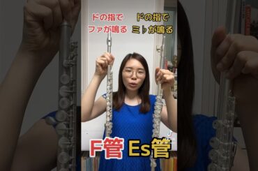 【激レア】この楽器、知ってる？ #フルート #ソプラノフルート #吹奏楽 #sopranoflute #flute