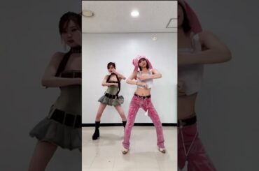 どこか似ているかわいい二人チェウォン、ウィンター #shorts