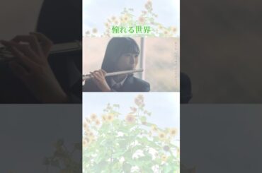 17【葵乃まみ / 絶景未来】#青春 #アイドル #応援歌 #女性ボーカル #mksoul #拡散希望 #shorts  #15second