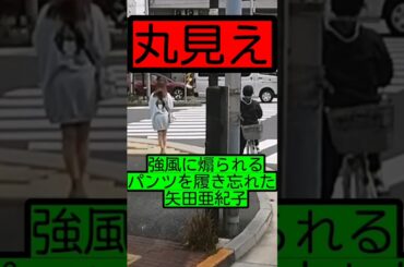 【丸見え】強風に煽られるパンツを履き忘れた矢田亜紀子…