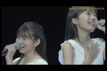 モーニング娘。‘23 17期 井上春華 弓桁朱琴 『愛の種』  『私の魅力に 気付かない鈍感な人』 『歩いてる』