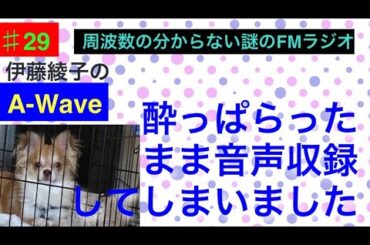 伊藤綾子の「A-wave」29 酔っ払ったまま音声収録してしまいました