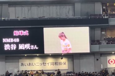 【可愛い】#NMB48 #渋谷凪咲 さん 始球式 23.7.13.  #京セラドーム大阪