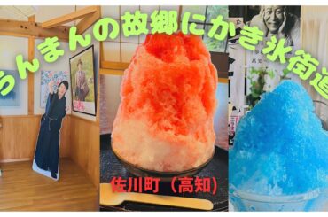 「らんまん」の故郷にツーンと涼しいかき氷街道（高知）