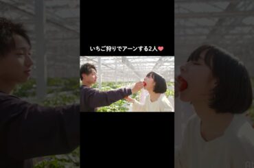 いちご狩りで距離が縮まる2人...❤︎ | #白雪オオカミ #白雪とオオカミくんには騙されない #恋愛 #デート #山之内すず #網代聖人 #shorts