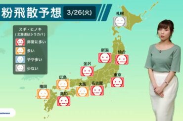 ニューアヤチーX