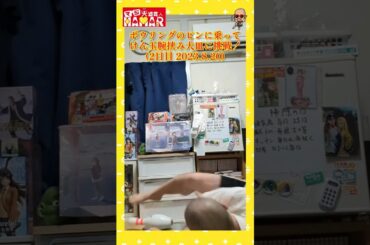 ボウリングのピンに乗って腕挟みけん玉大皿に挑戦！ 2日目