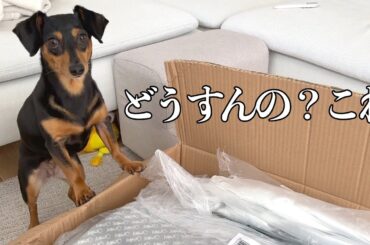 久しぶりの模様替えにはトラブルが付き物ですw