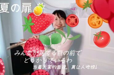 夏の扉（夏季之门　여름의 문）/松田聖子　Flute Cover