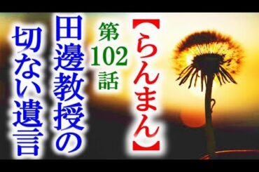 【らんまん】朝ドラ 第102話 田邊教授が遺した遺言に万太郎は…連続テレビ小説第101話感想
