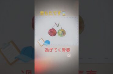 75「青春」岩崎良美（1985年）『タッチ』（第2・3期）ED🌹cover（Yoshimi Iwasaki）「Seisyun」"TOUCH" ending song