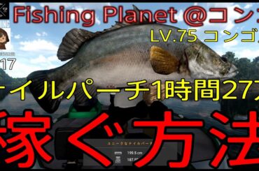 ●ON AIR 生放送 Fishing Planet #217『寝る前に久しぶりの金策釣り!!ナイルパーチを釣り上げていく生放送 LV.75コンゴ川@コンゴ』#フィッシングプラネット#攻略#金策#雑談