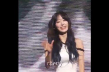 🌸🌸宮脇咲良 は遠く離れたファンを認識します コンサート 사쿠라