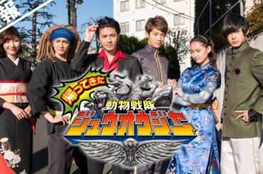 【特報】帰ってきた動物戦隊ジュウオウジャー　お命頂戴！地球王者決定戦