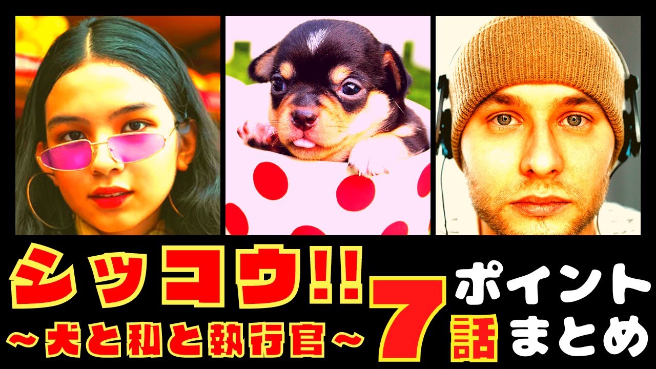 【シッコウ!!〜犬と私と執行官〜7話】ビルの屋上で任侠バトル!?【ポイントまとめ】【伊藤沙莉】【織田裕二】 【シッコウ!!〜犬と私と執行官〜7話】ビルの屋上で任侠バトル!?【ポイントまとめ】【伊藤沙莉】【織田裕二】